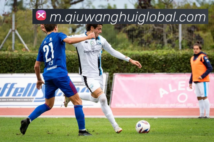 球王会平台生态图