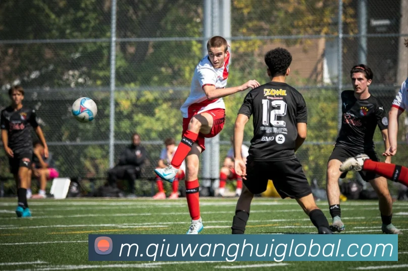 球王会APP 封面图